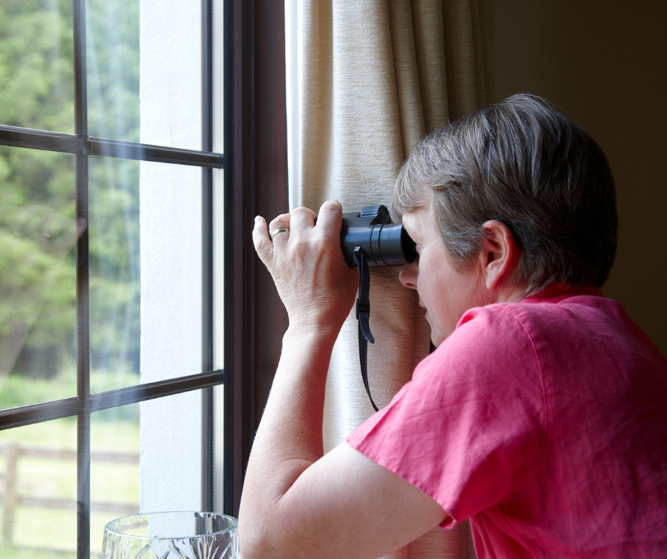 A Picture From My Neighbor's Window - Real Estate Bestie Devotional - Romans 1:16